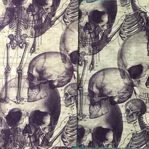 Halloween anatomy reusable mask w/ filter pocket